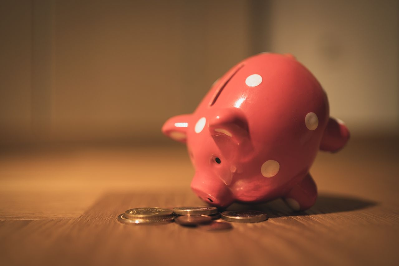 Piggy bank beside coins, a retirement plan taking shape one deposit at a time